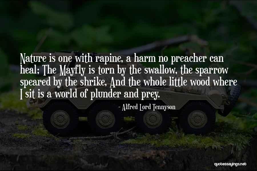 Alfred Lord Tennyson Quotes 811084 Alfred Lord Tennyson Quotes 811084