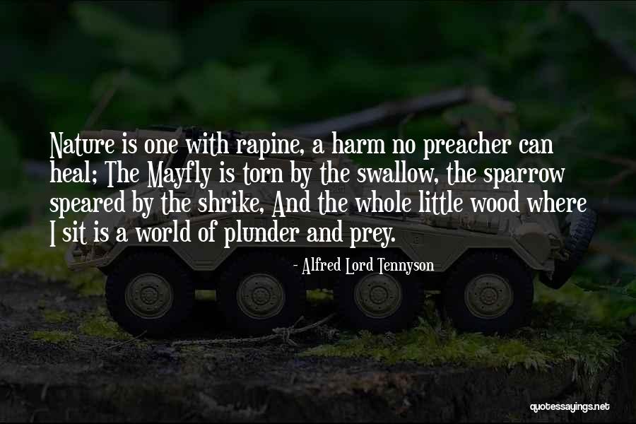 Alfred Lord Tennyson Quotes 811084