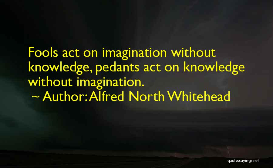 Alfred North Whitehead Quotes 1131382