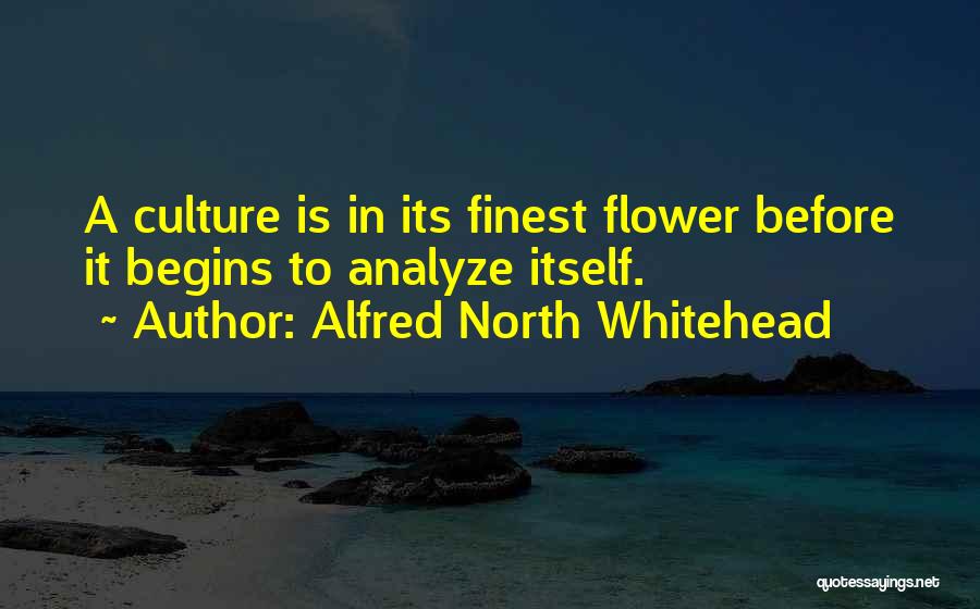 Alfred North Whitehead Quotes 1271814