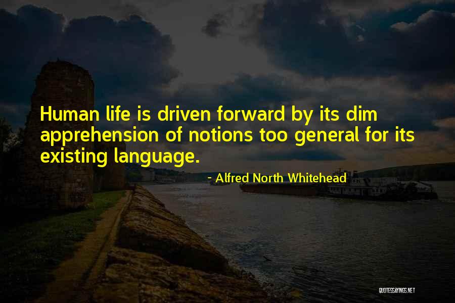 Alfred North Whitehead Quotes 1433310