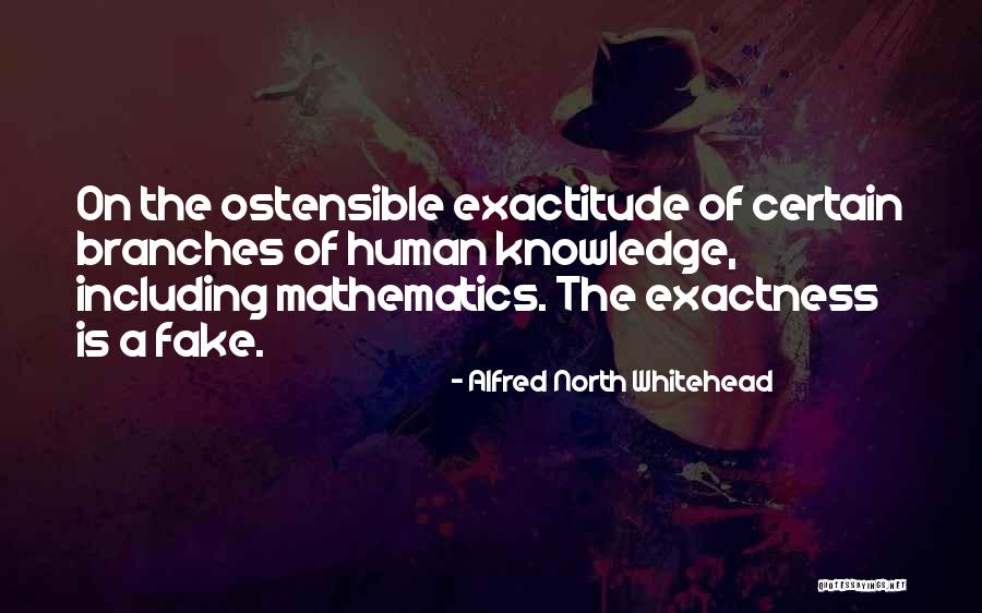 Alfred North Whitehead Quotes 1451215