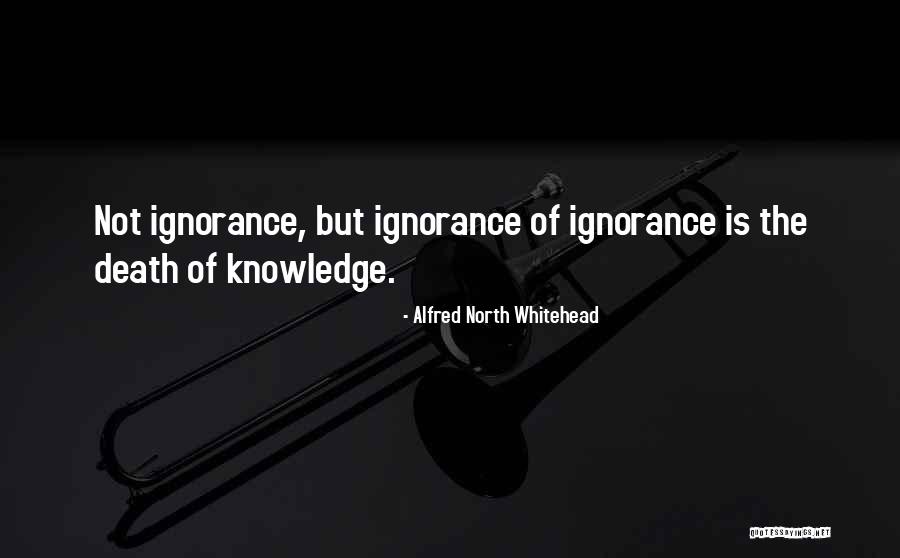 Alfred North Whitehead Quotes 1581675