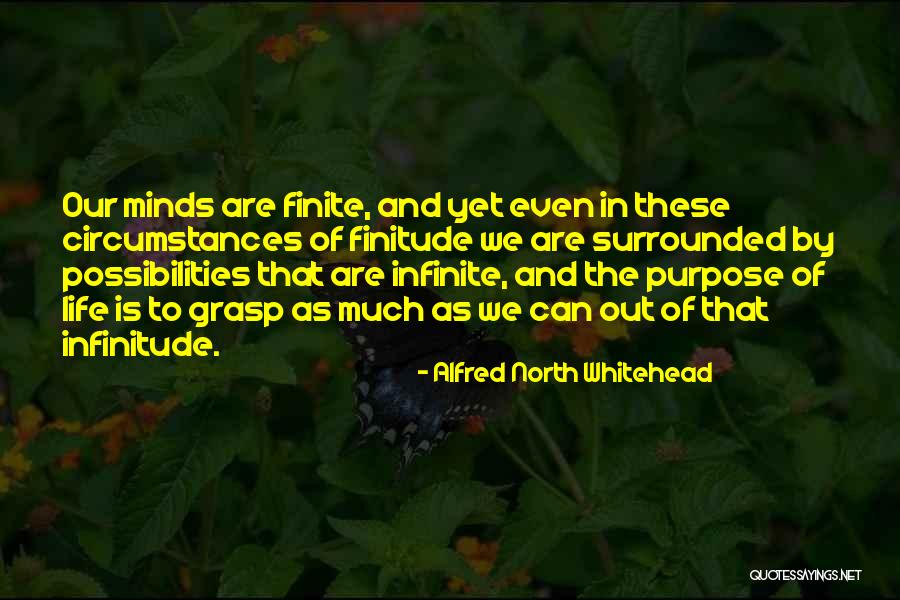 Alfred North Whitehead Quotes 2194990