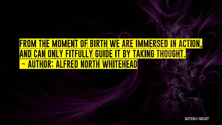 Alfred North Whitehead Quotes 594640