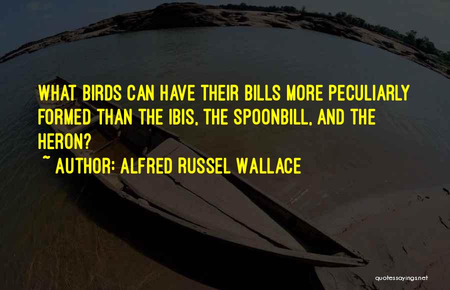 Alfred Russel Wallace Quotes 1810229