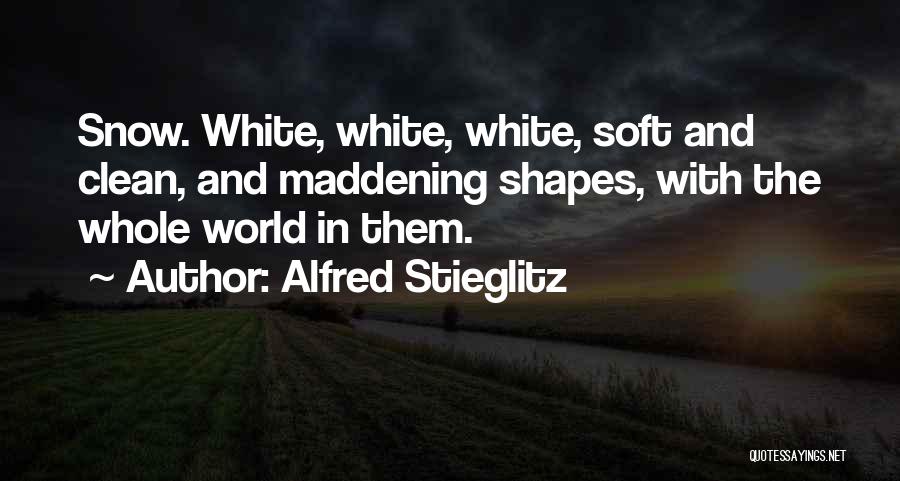 Alfred Stieglitz Quotes 107488
