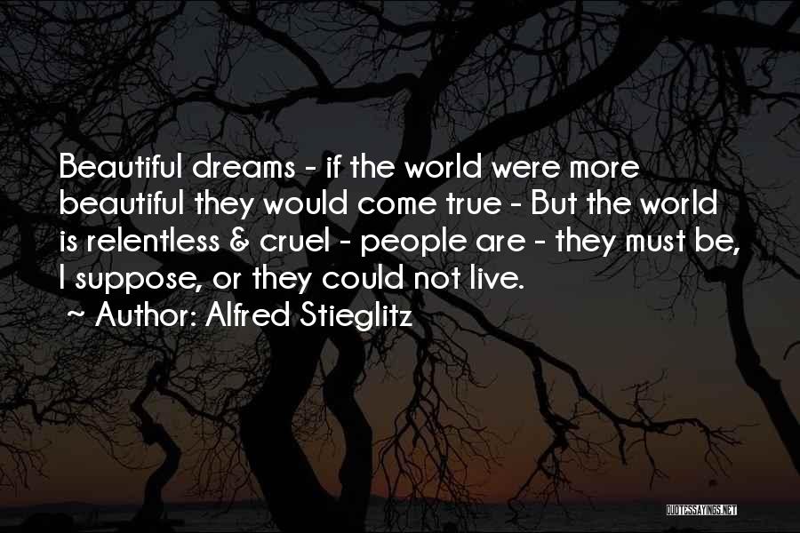 Alfred Stieglitz Quotes 849842