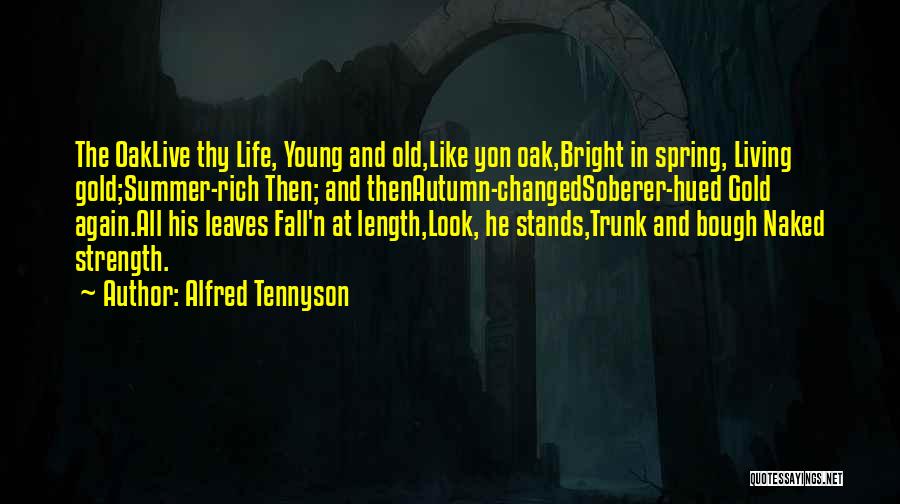 Alfred Tennyson Quotes 307985