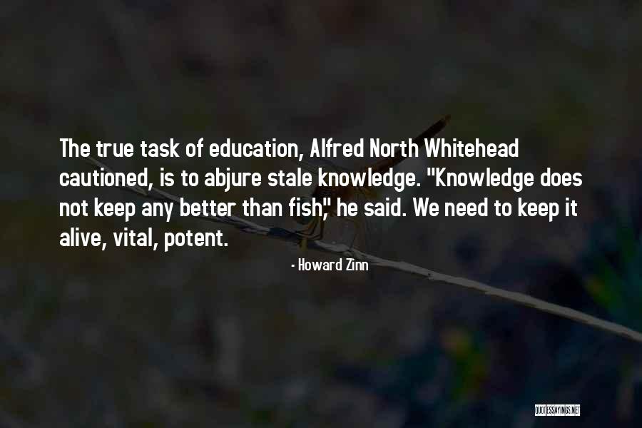 Alfred Whitehead Quotes By Howard Zinn Alfred Whitehead Quotes By Howard Zinn