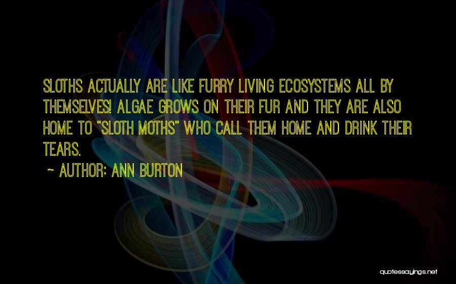 Algae Quotes By Ann Burton