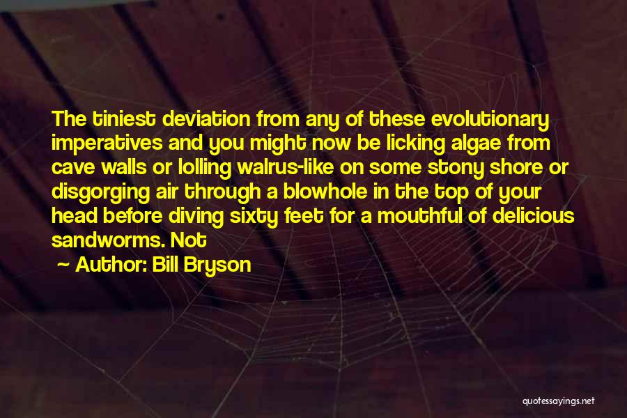 Algae Quotes By Bill Bryson