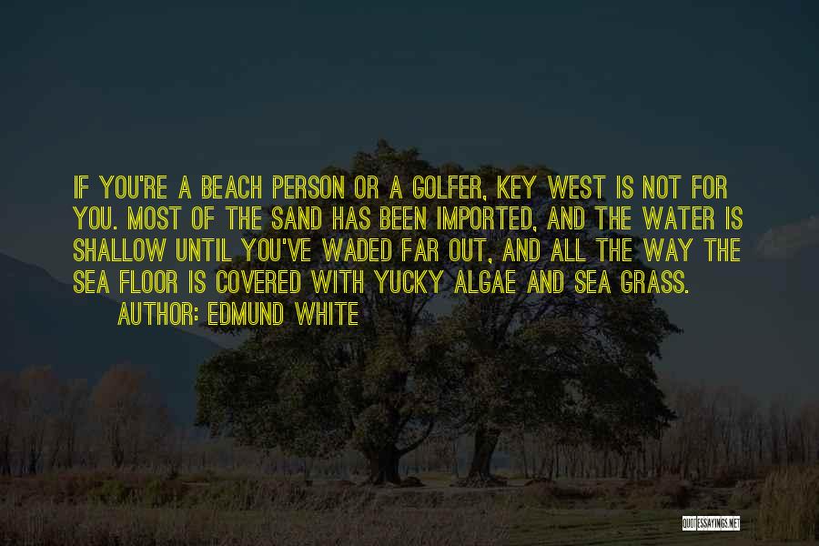 Algae Quotes By Edmund White