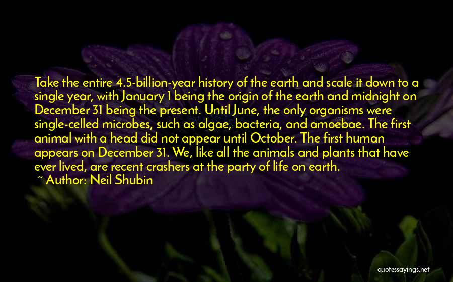 Algae Quotes By Neil Shubin