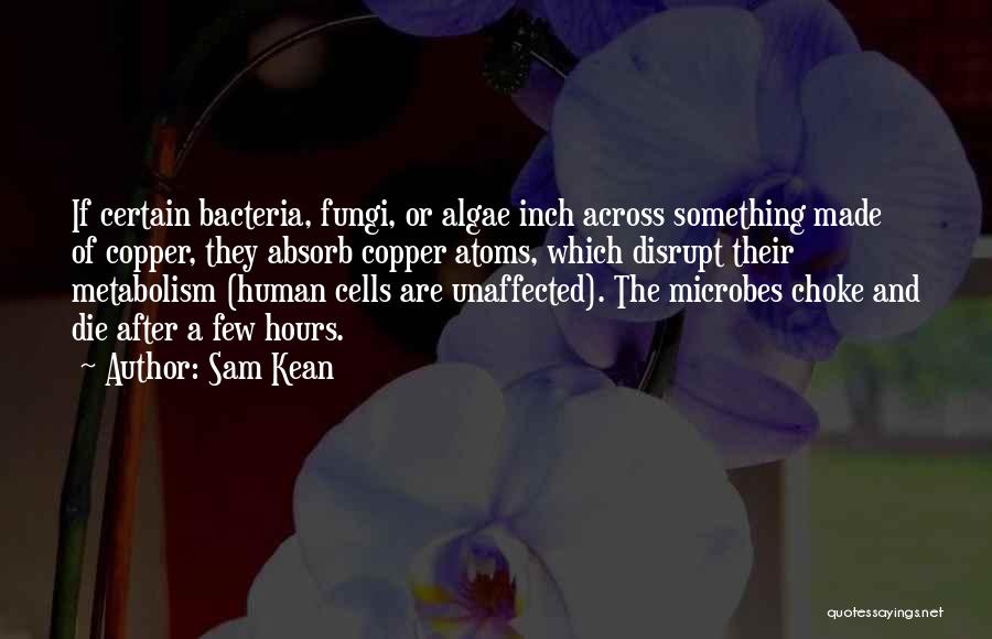 Algae Quotes By Sam Kean