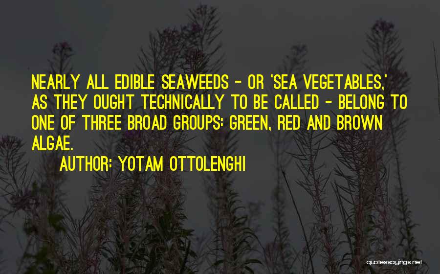 Algae Quotes By Yotam Ottolenghi