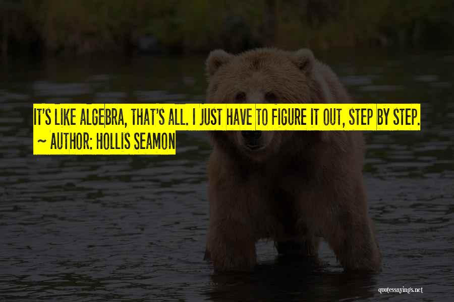 Algebra Quotes By Hollis Seamon
