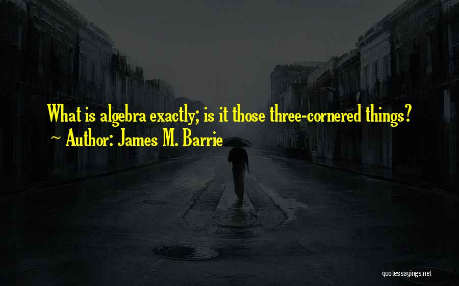 Algebra Quotes By James M. Barrie