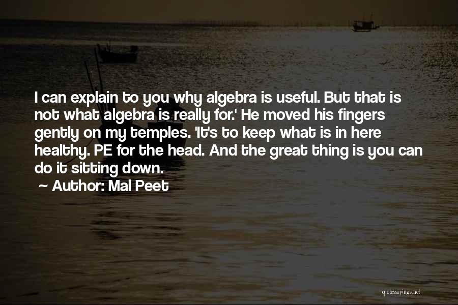 Algebra Quotes By Mal Peet