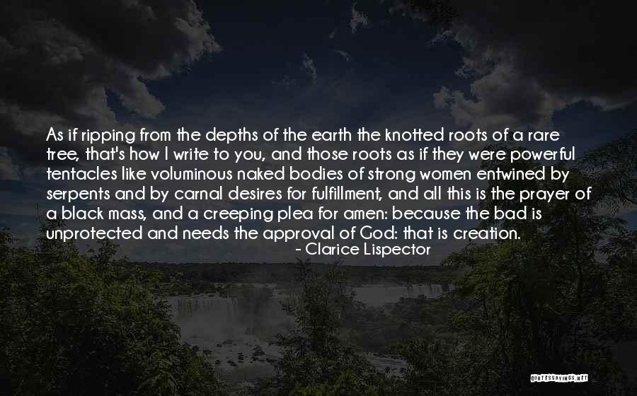Algebraically Closed Quotes By Clarice Lispector Algebraically Closed Quotes By Clarice Lispector