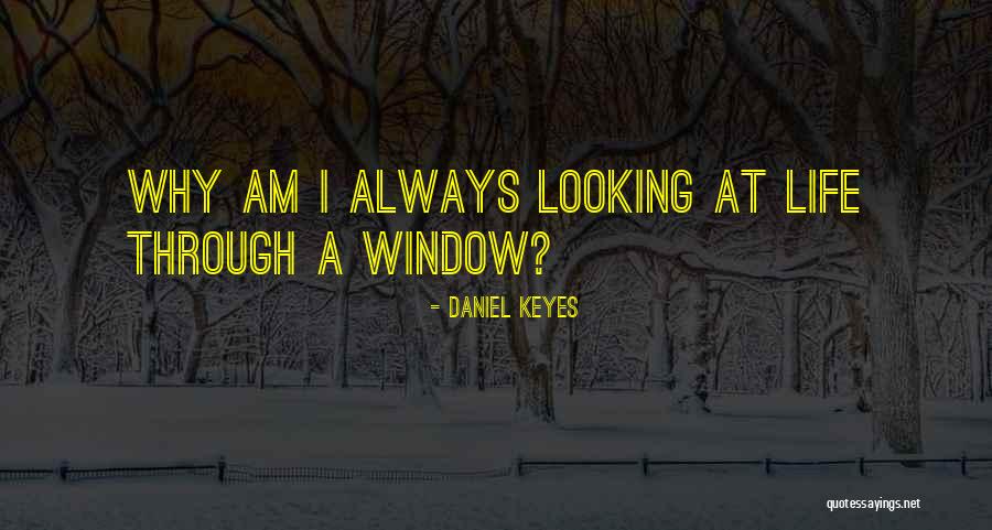 Algernon Quotes By Daniel Keyes