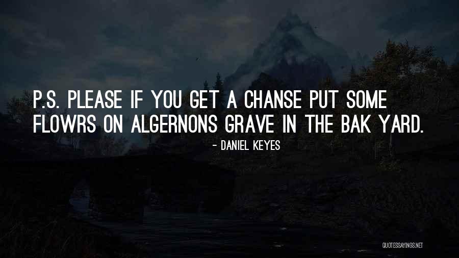 Algernons Quotes By Daniel Keyes Algernons Quotes By Daniel Keyes