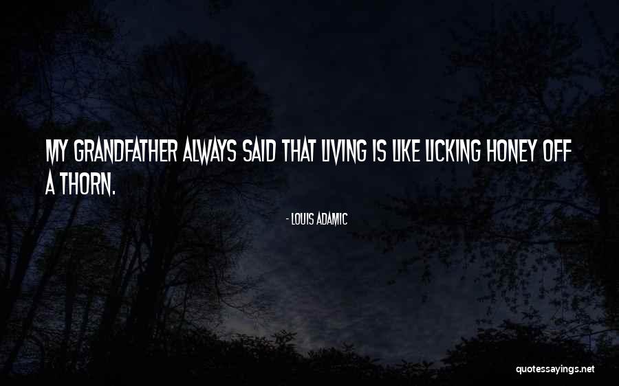 Algers Small Quotes By Louis Adamic Algers Small Quotes By Louis Adamic