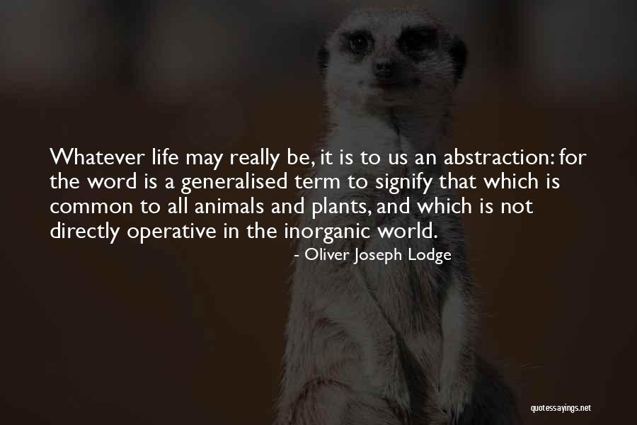 Algiere Shoes Quotes By Oliver Joseph Lodge Algiere Shoes Quotes By Oliver Joseph Lodge