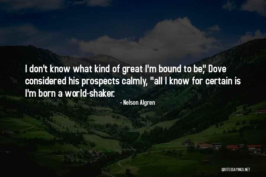 Algren Quotes By Nelson Algren Algren Quotes By Nelson Algren
