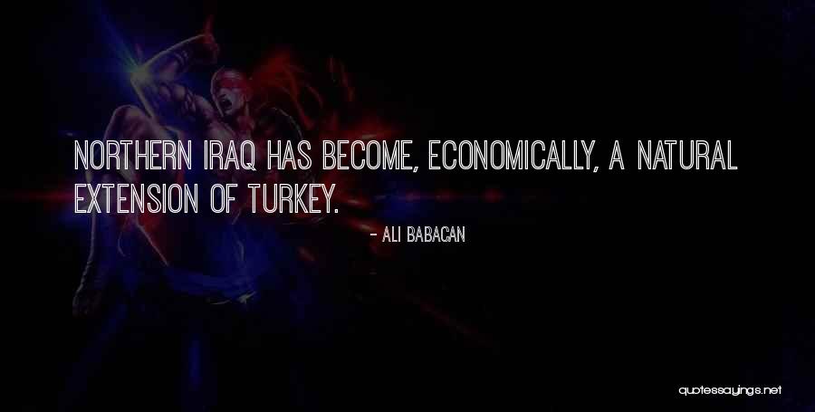 Ali Babacan Quotes 1742395 Ali Babacan Quotes 1742395