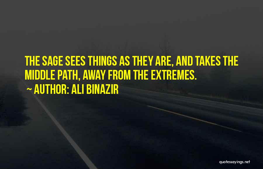 Ali Binazir Quotes 1977026