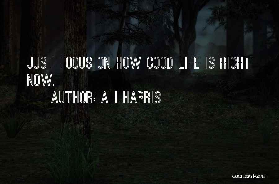 Ali Harris Quotes 1014606