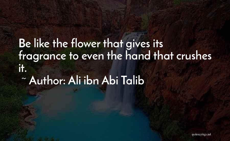 Ali Ibn Talib Quotes By Ali Ibn Abi Talib