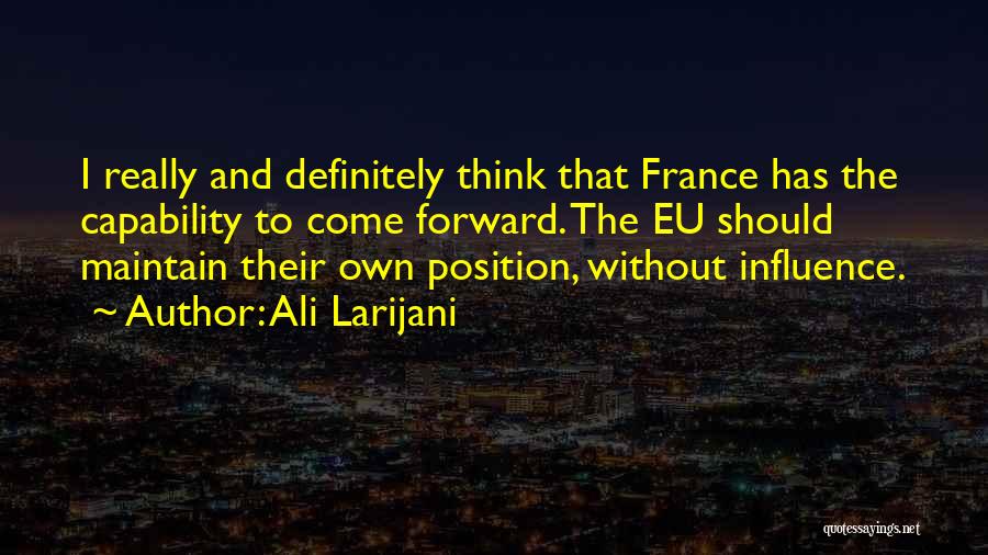 Ali Larijani Quotes 1507658