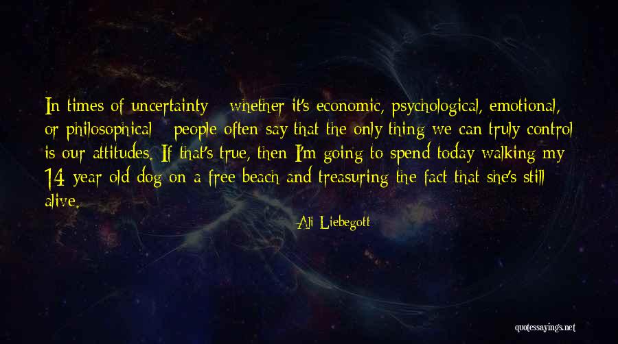 Ali Liebegott Quotes 1836130 Ali Liebegott Quotes 1836130