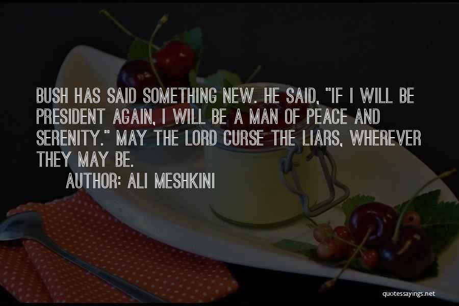 Ali Meshkini Quotes 864774