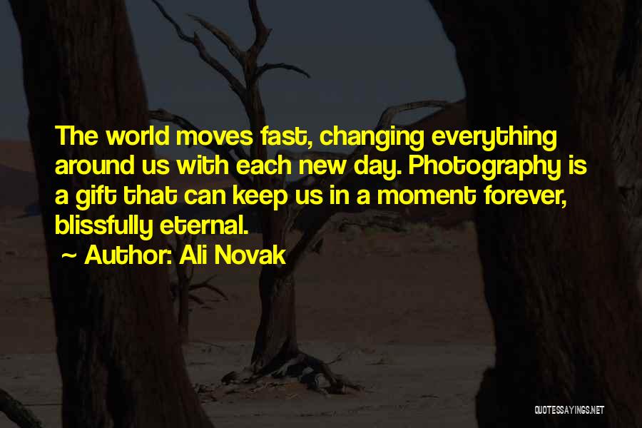 Ali Novak Quotes 1760009