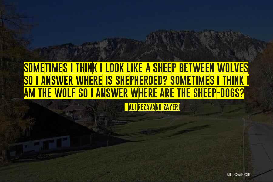 Ali Rezavand Zayeri Quotes 1973989 Ali Rezavand Zayeri Quotes 1973989
