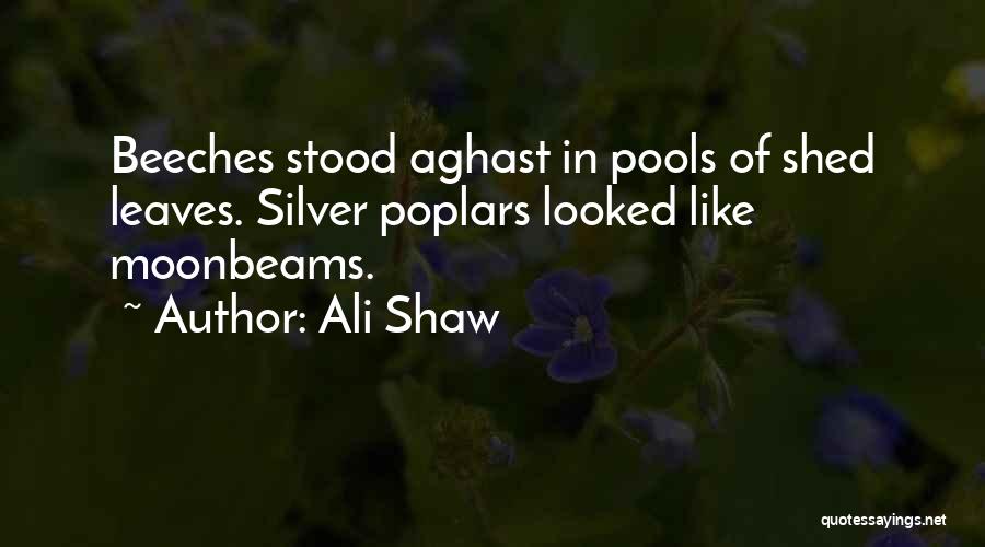 Ali Shaw Quotes 1936990