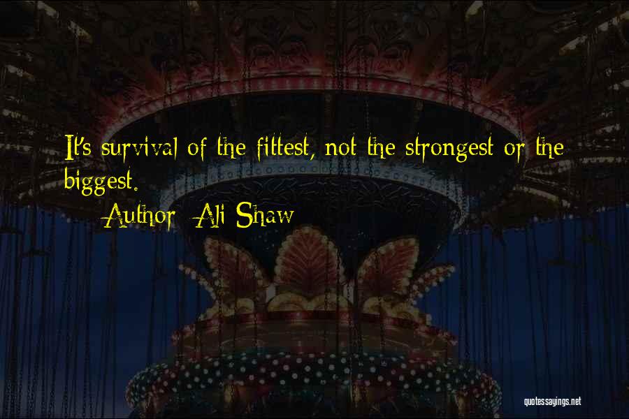 Ali Shaw Quotes 2261471