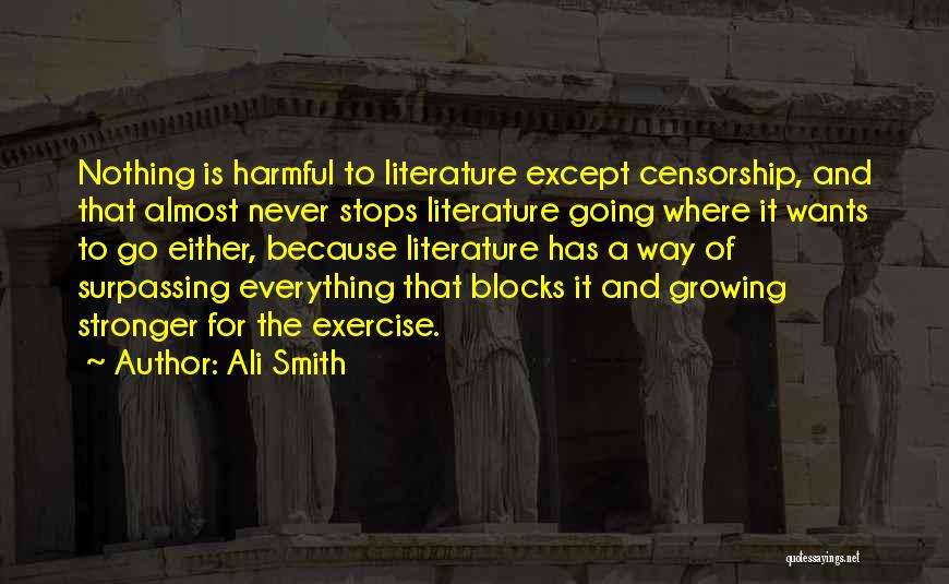 Ali Smith Quotes 1216844
