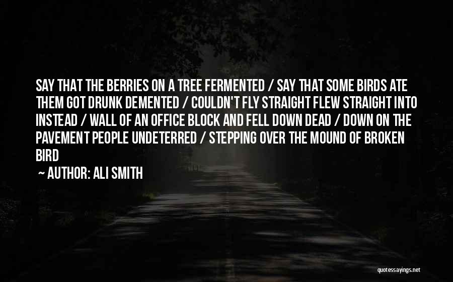 Ali Smith Quotes 2002183