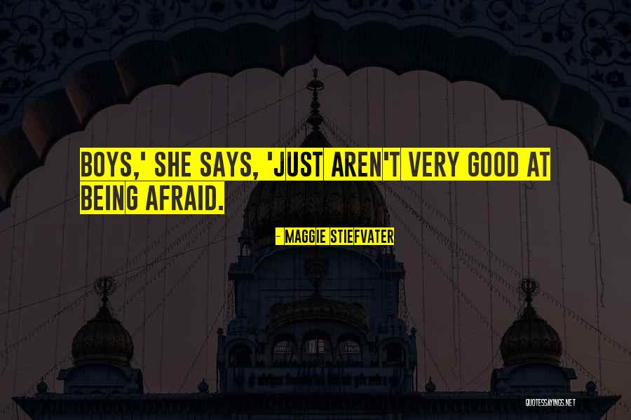 Aliado Seguros Quotes By Maggie Stiefvater Aliado Seguros Quotes By Maggie Stiefvater