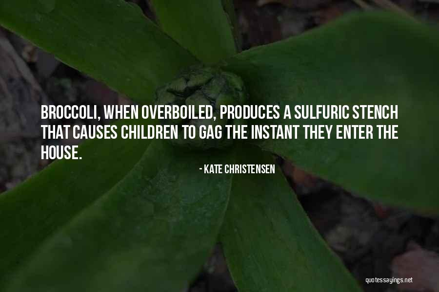 Aliados Segunda Quotes By Kate Christensen Aliados Segunda Quotes By Kate Christensen