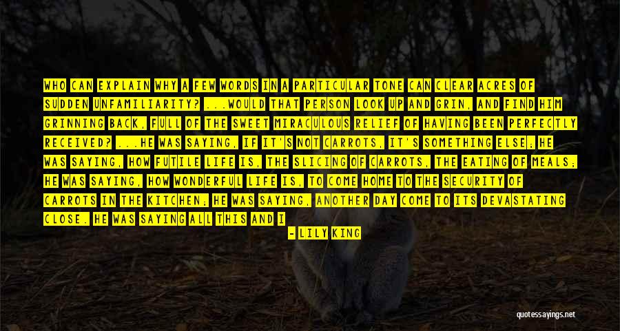 Aliatalay Quotes By Lily King Aliatalay Quotes By Lily King