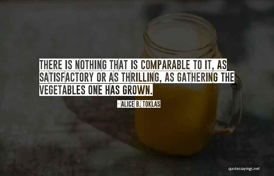 Alice B. Toklas Quotes 236714 Alice B. Toklas Quotes 236714