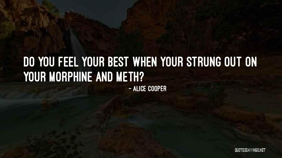 Alice Cooper Quotes 1078923