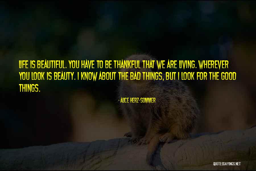 Alice Herz-Sommer Quotes 1288415 Alice Herz-Sommer Quotes 1288415