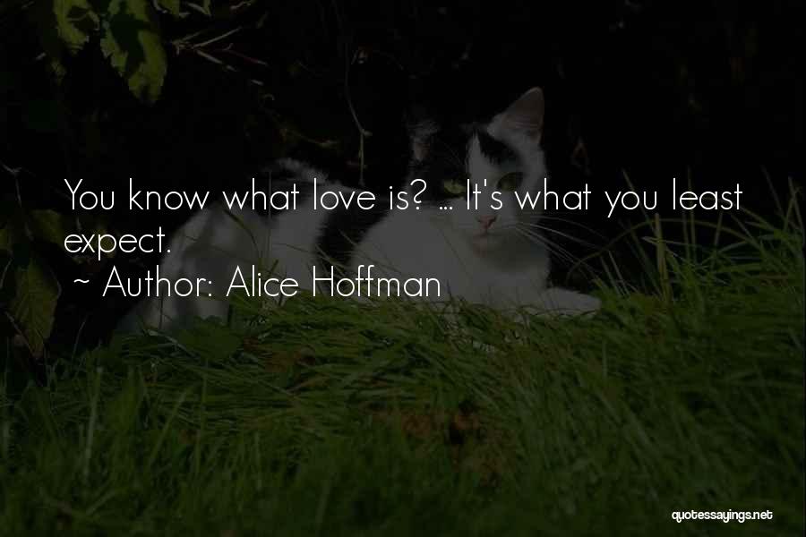 Alice Hoffman Love Quotes By Alice Hoffman