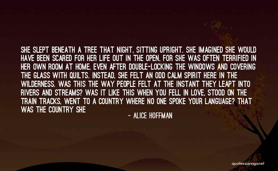 Alice Hoffman Quotes 1578818 Alice Hoffman Quotes 1578818